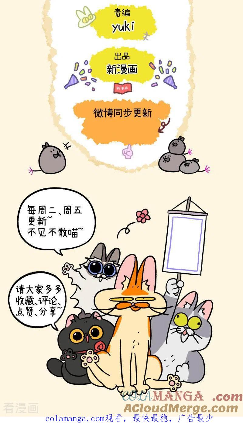 番外8上黑亮亮帮的往事-阿满和麦茶-新漫画 日胖大海寺（第6张）