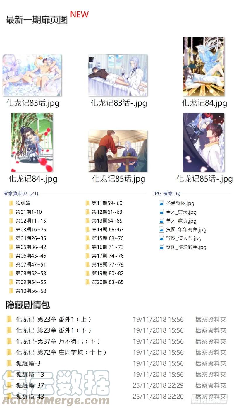 13.jpg
