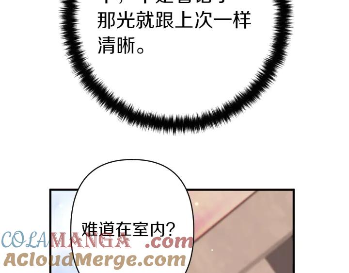 81.jpg