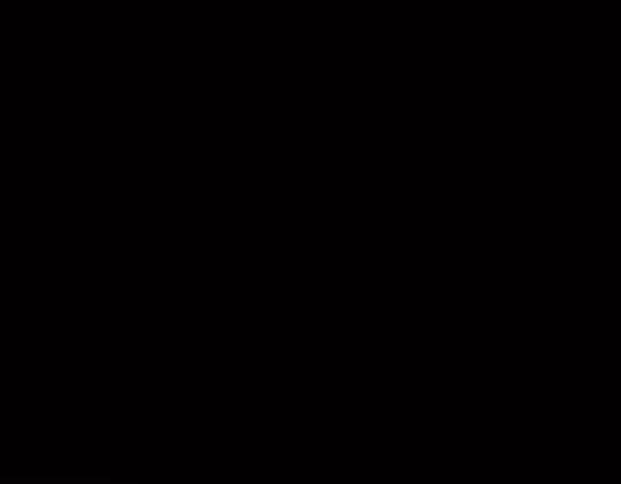 112.jpg