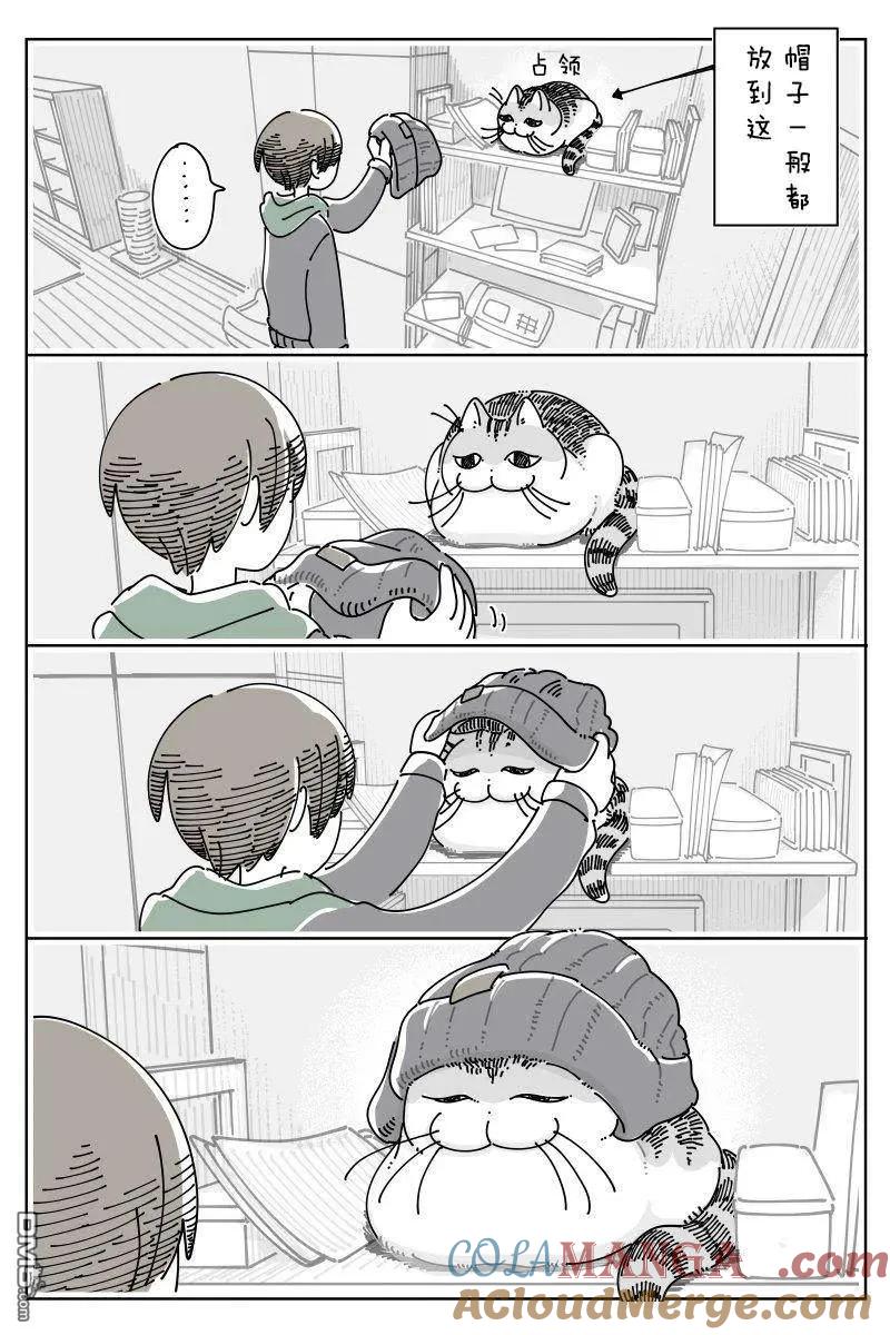 第252话-关于养猫我一直是新手-キュルZ（第1张）