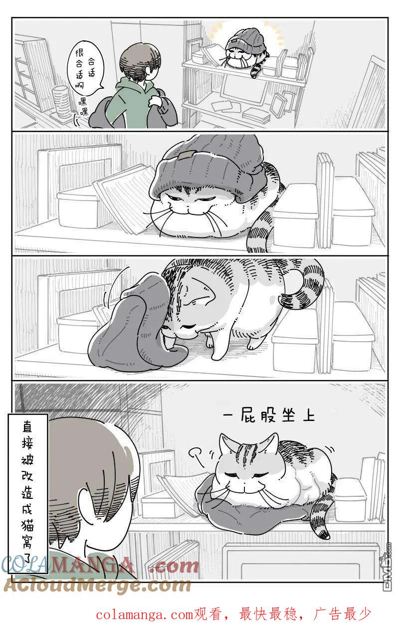 第252话-关于养猫我一直是新手-キュルZ（第2张）