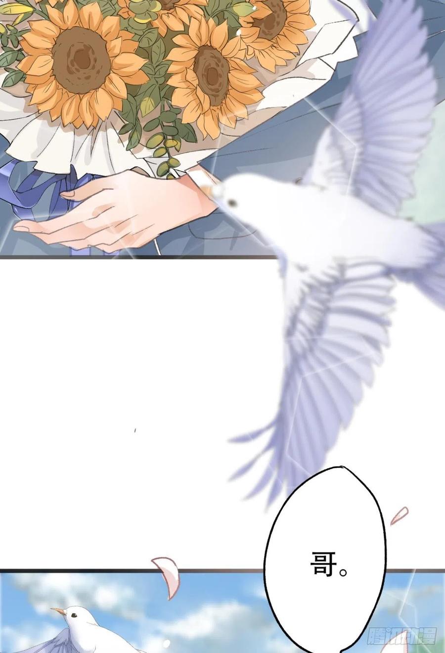 54.jpg