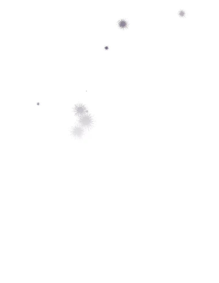 48.jpg