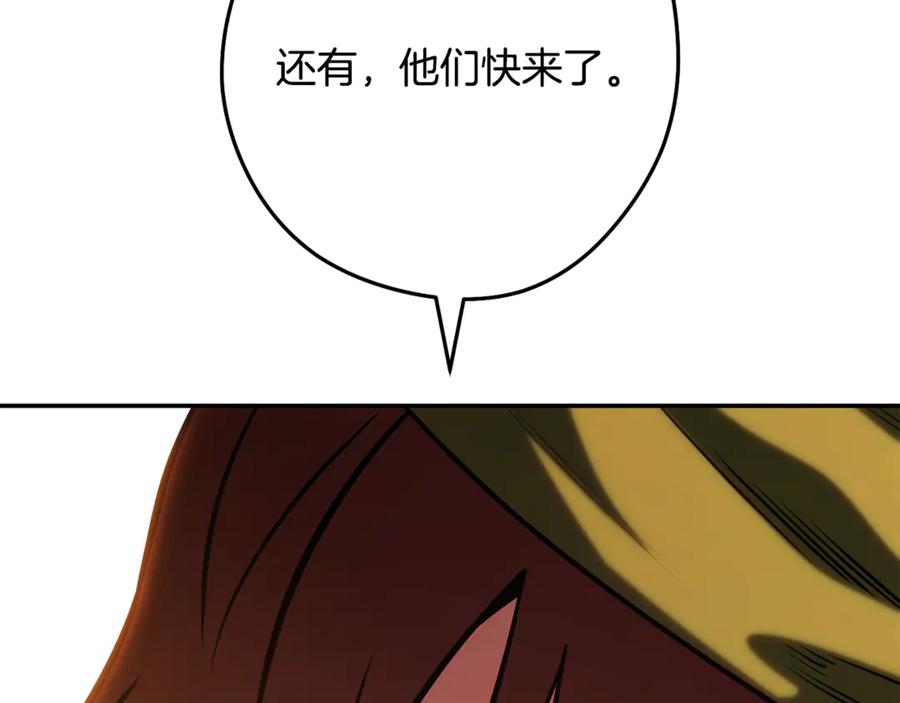 243.jpg