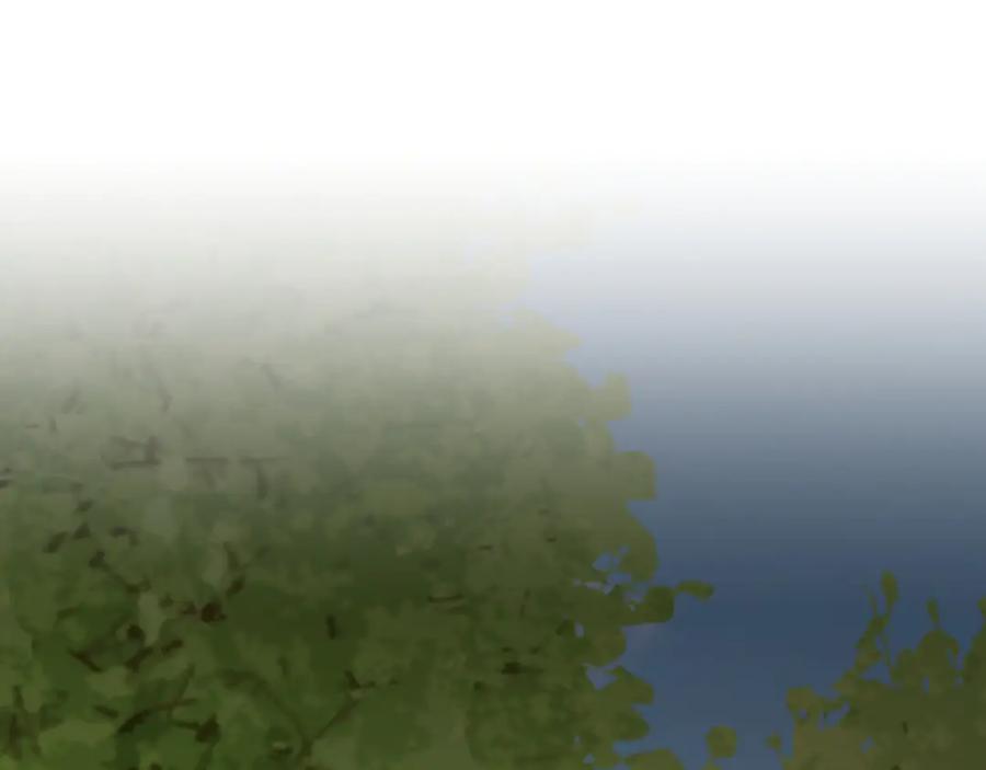 223.jpg