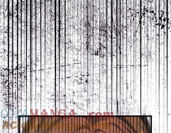 225.jpg