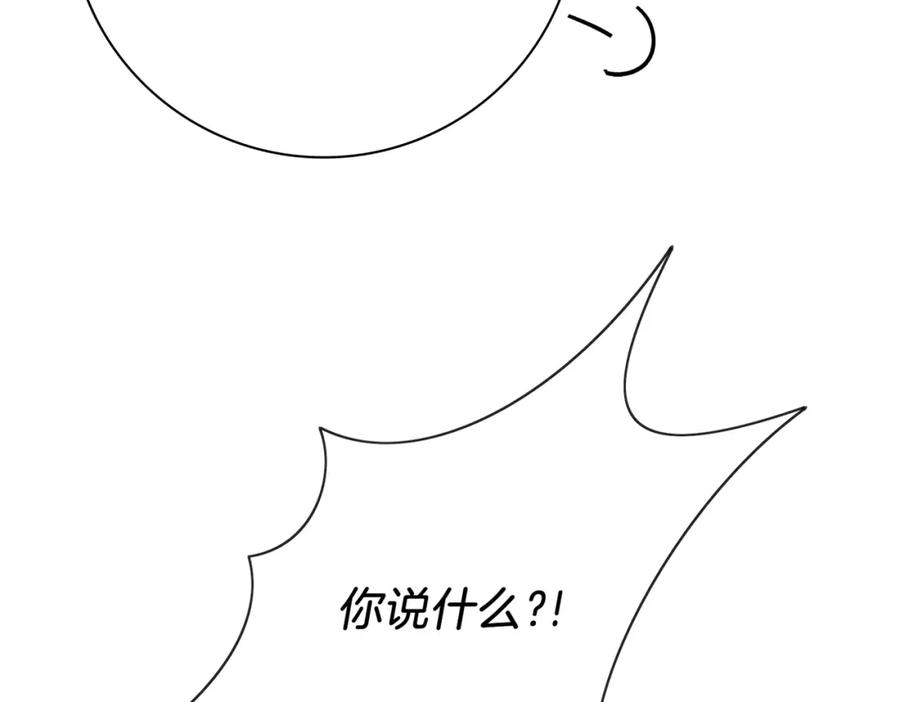 258.jpg