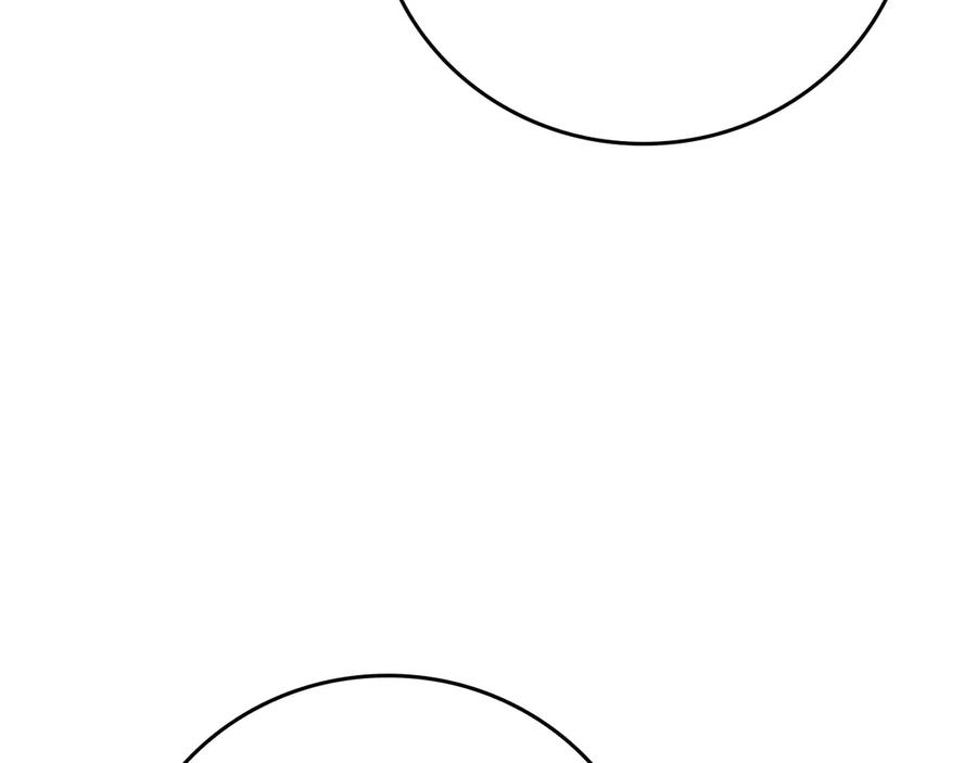 255.jpg