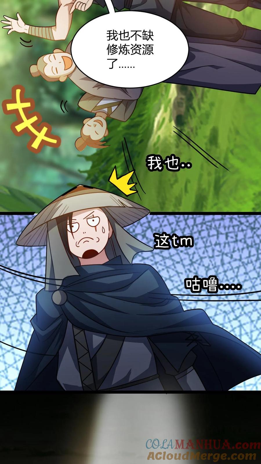 5.jpg