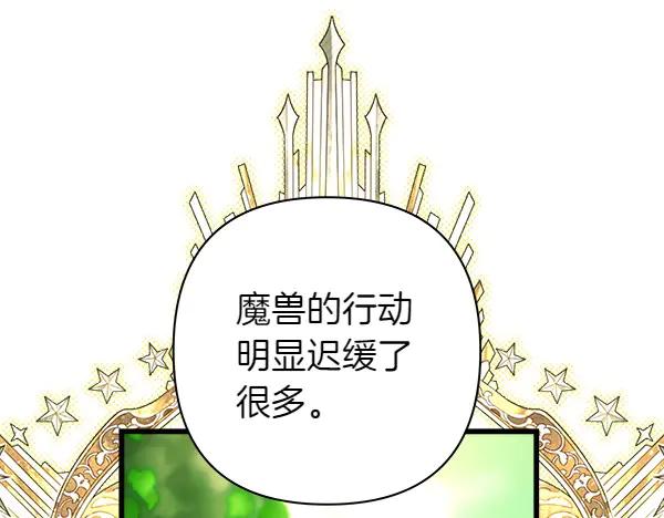 195.jpg