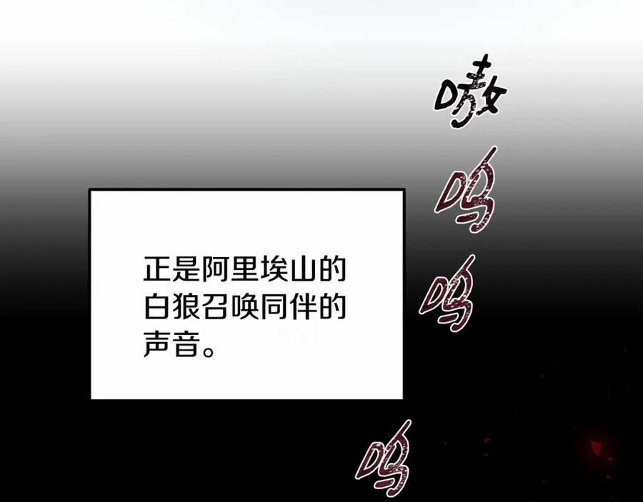 148.jpg