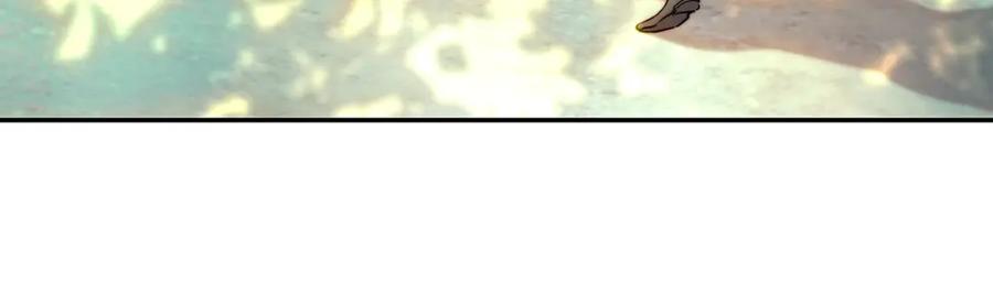 164.jpg