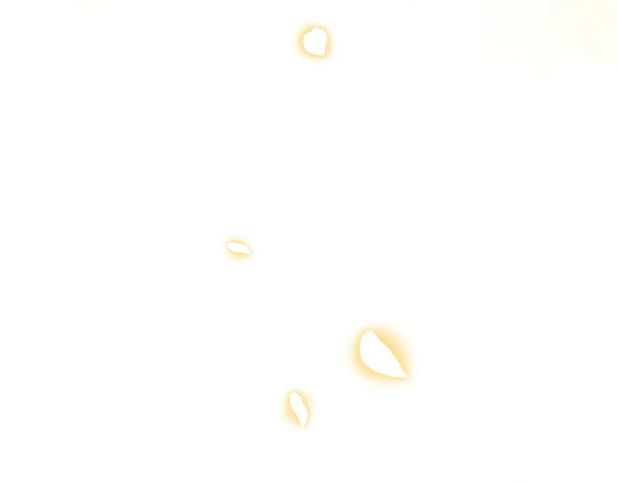 155.jpg