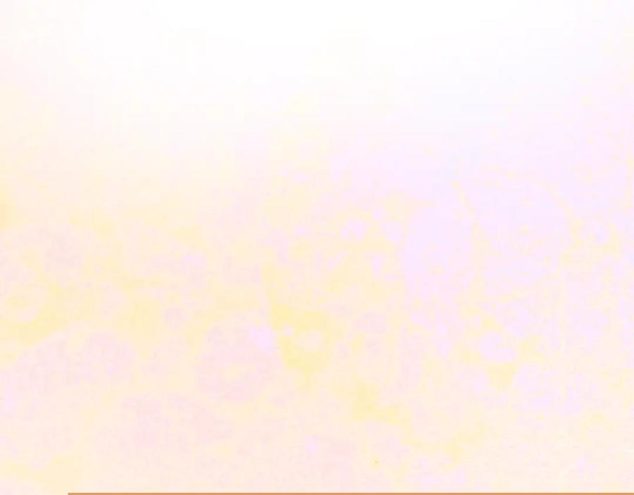 147.jpg