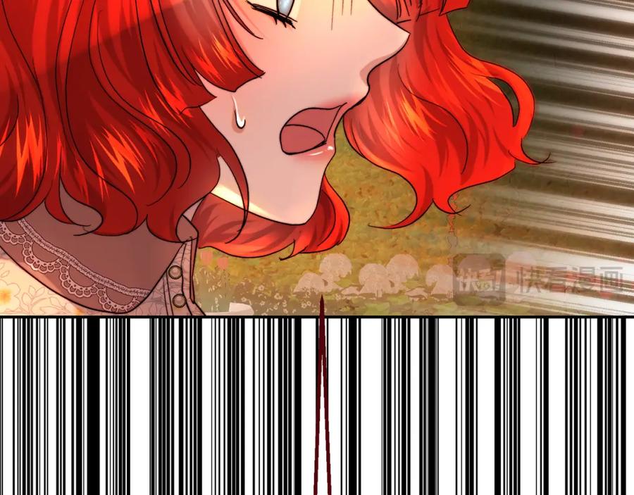 204.jpg
