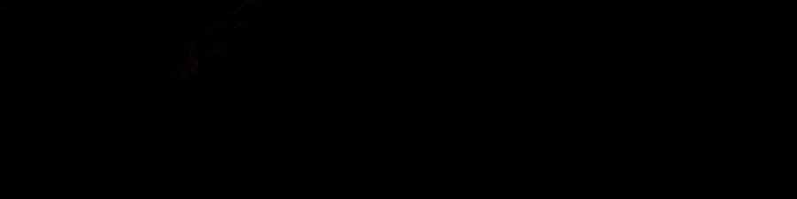 142.jpg