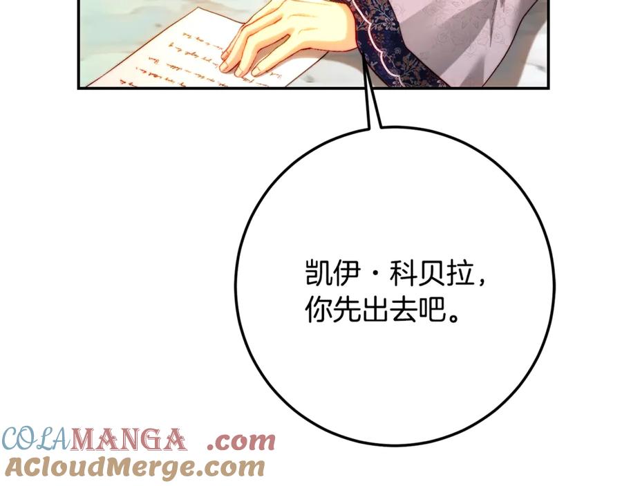 213.jpg