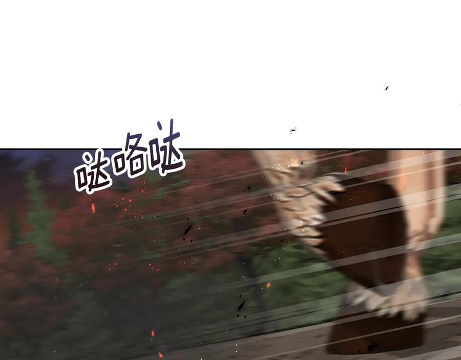 91.jpg