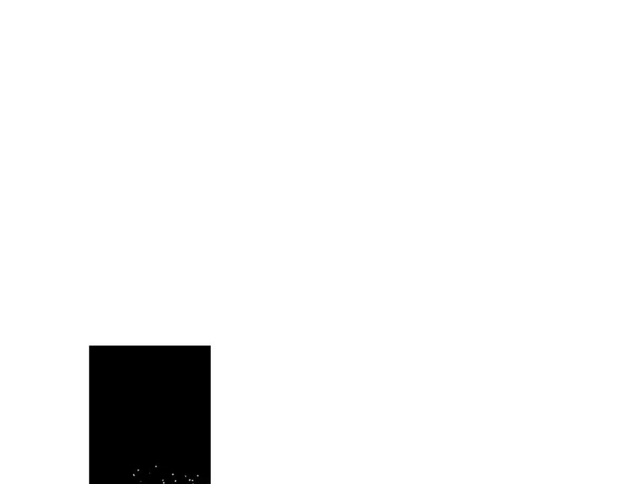 123.jpg