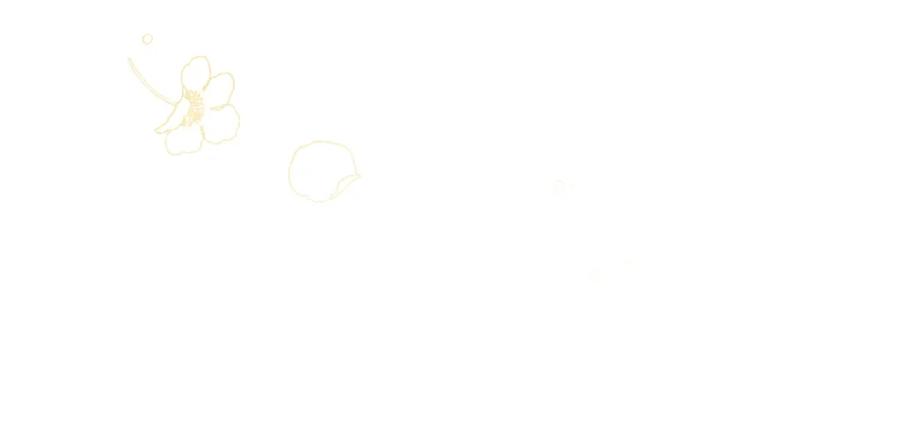 95.jpg