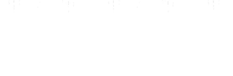 206.jpg