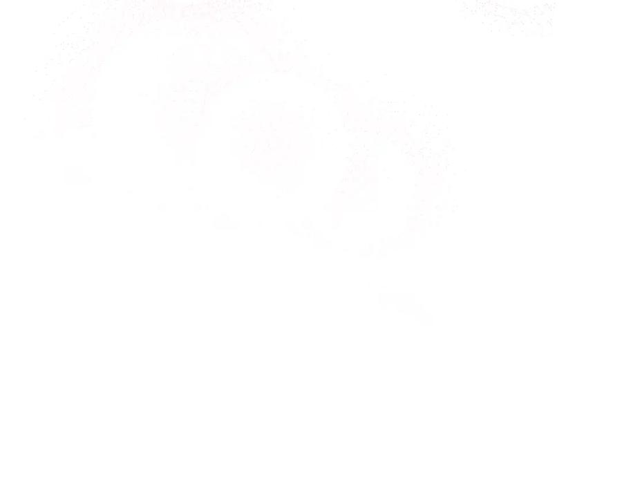 102.jpg
