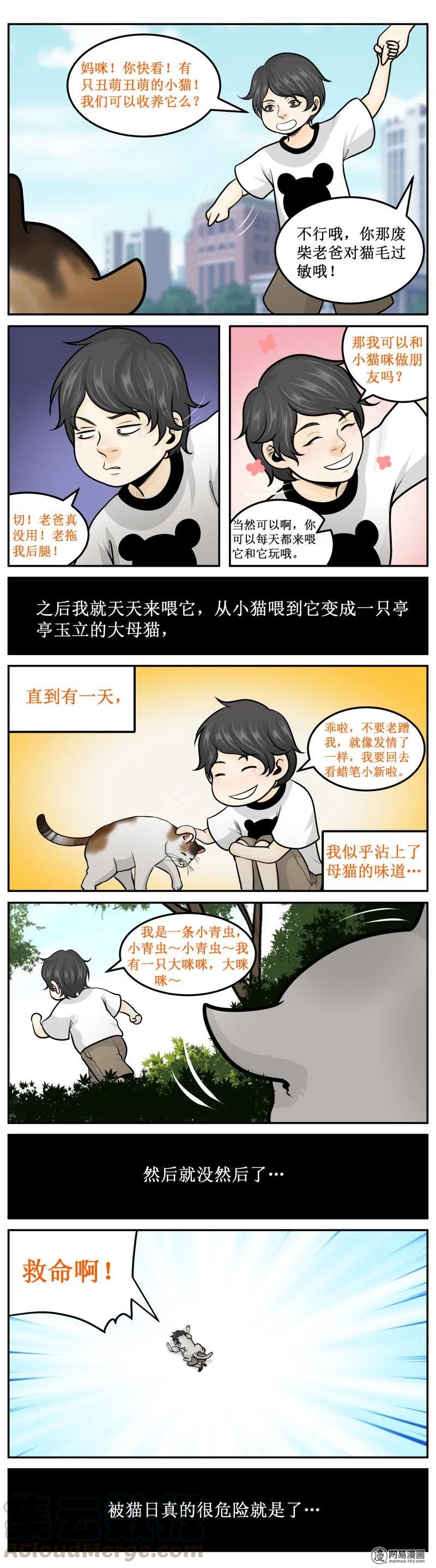 272-2猫科动物-皇上别碰我-独眼猫（第5张）