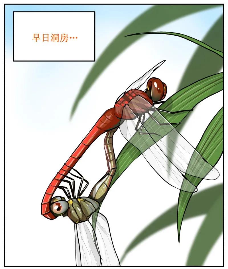 49喝茶-皇上别碰我-独眼猫（第8张）