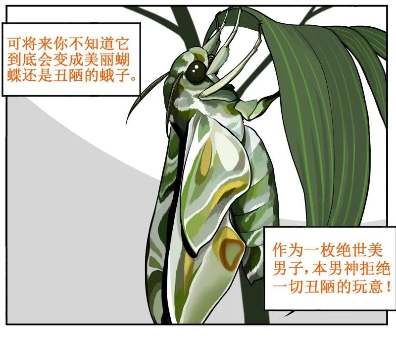 71哦买噶-皇上别碰我-独眼猫（第11张）