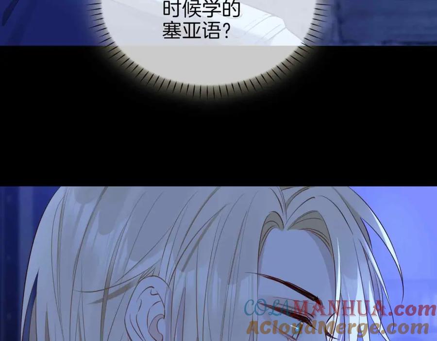 113.jpg