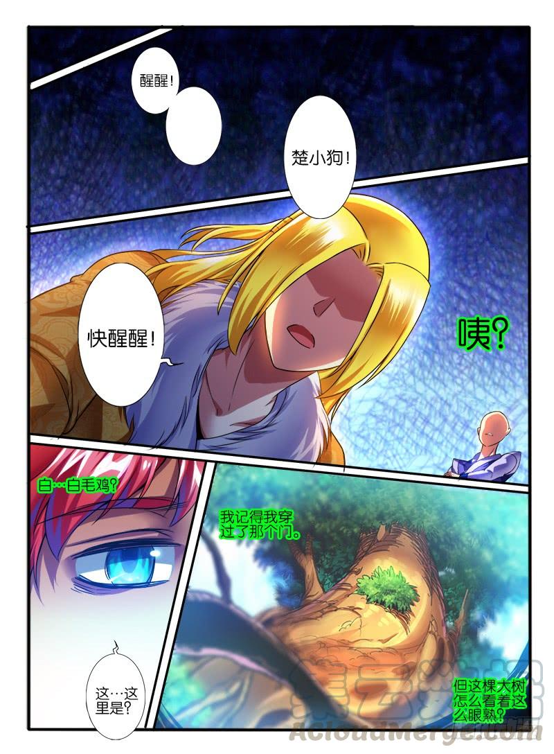 9.jpg