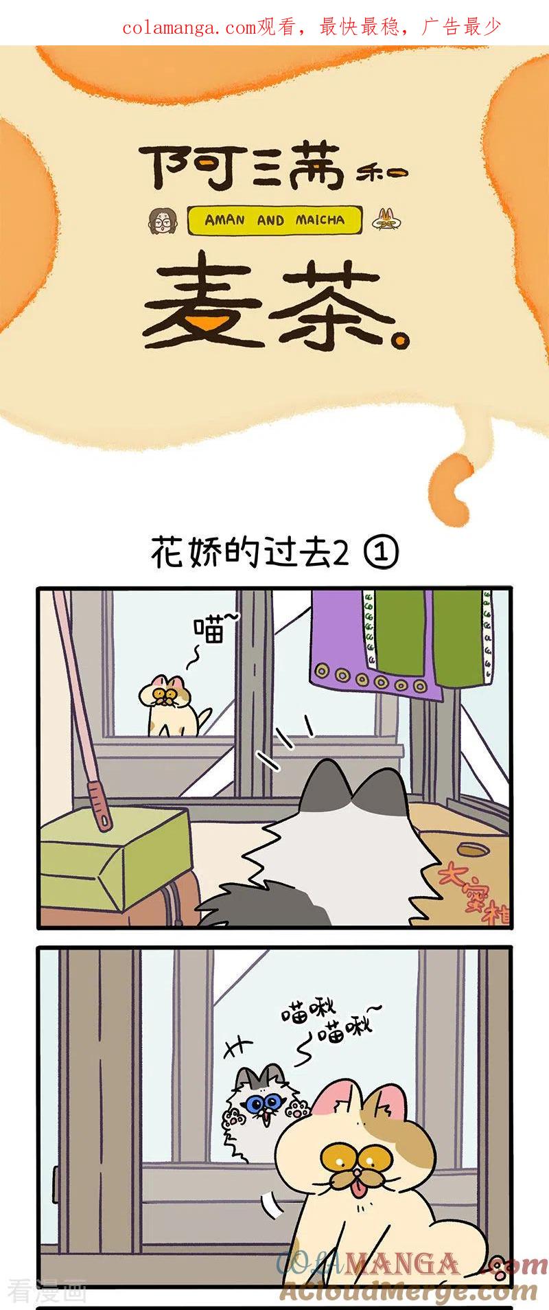 第48话1花娇的过去-阿满和麦茶-新漫画 日胖大海寺（第1张）