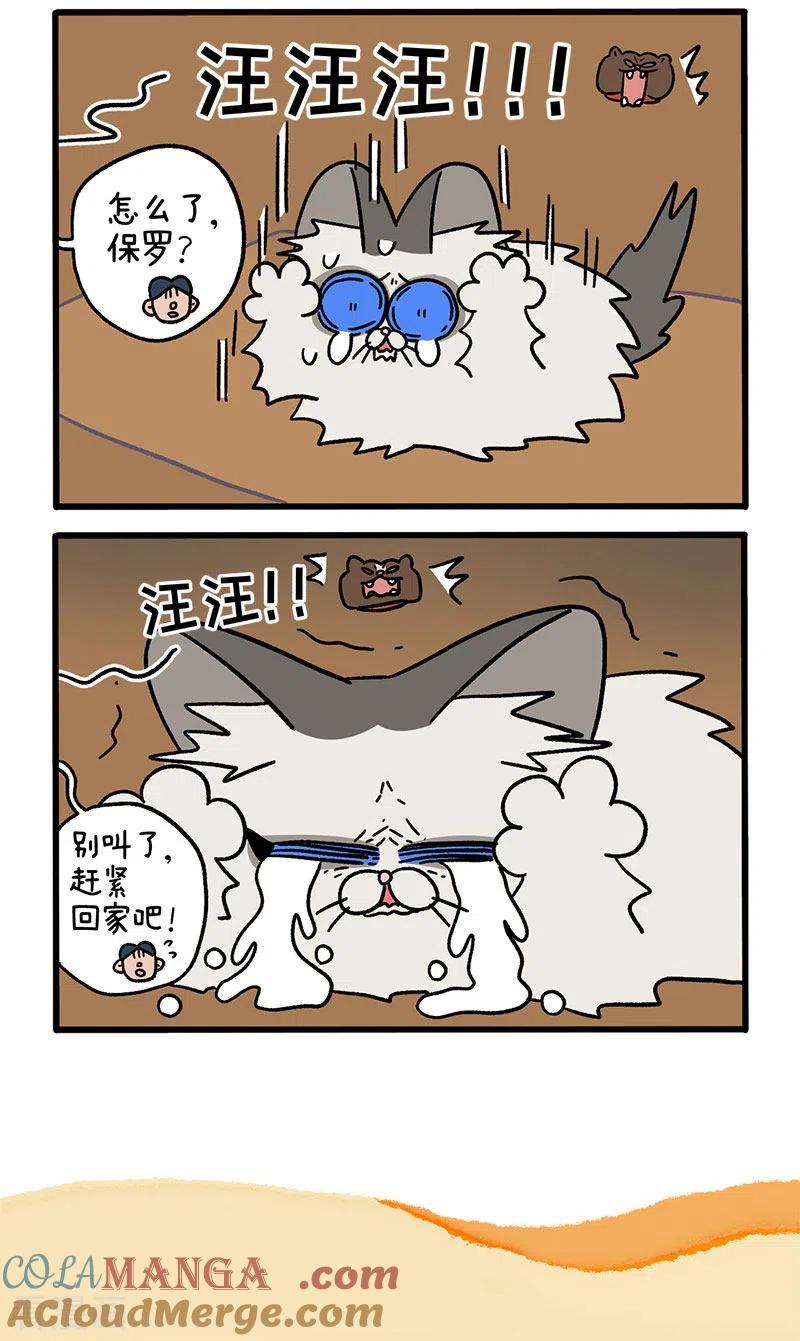 第48话1花娇的过去-阿满和麦茶-新漫画 日胖大海寺（第6张）