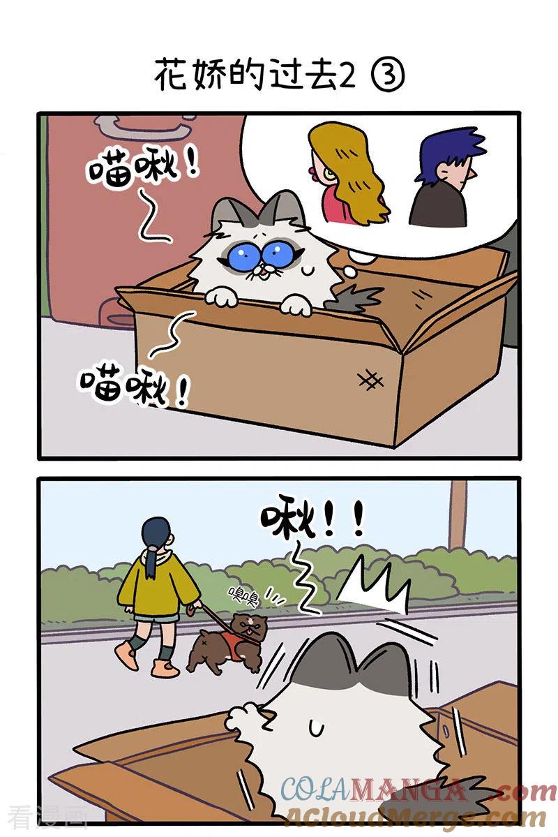 第48话1花娇的过去-阿满和麦茶-新漫画 日胖大海寺（第5张）