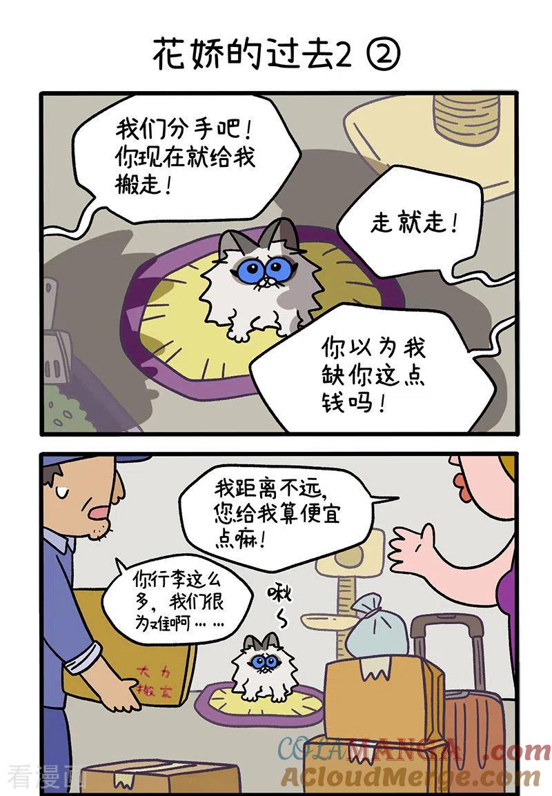 第48话1花娇的过去-阿满和麦茶-新漫画 日胖大海寺（第3张）