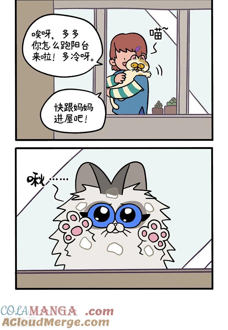 第48话1花娇的过去-阿满和麦茶-新漫画 日胖大海寺（第2张）
