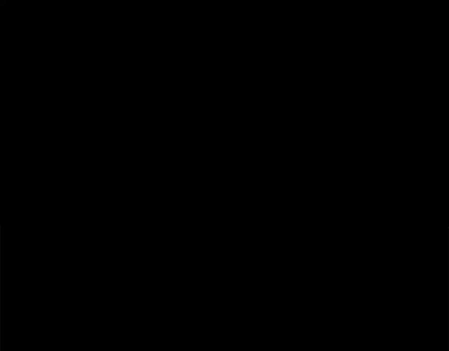70.jpg