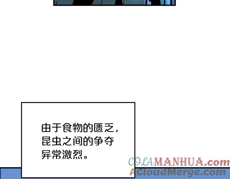 113.jpg