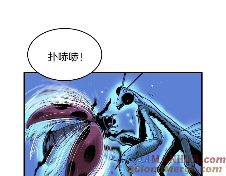 77.jpg