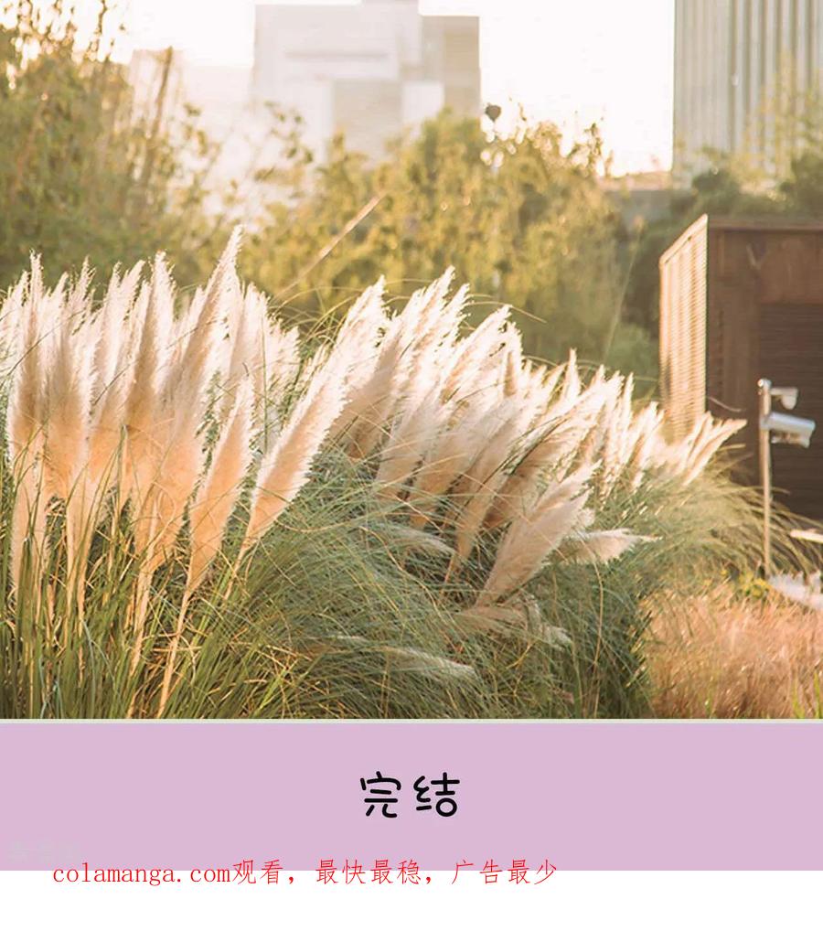 最终话-医冠楚楚-剧能玩（第24张）