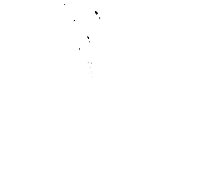 67.jpg