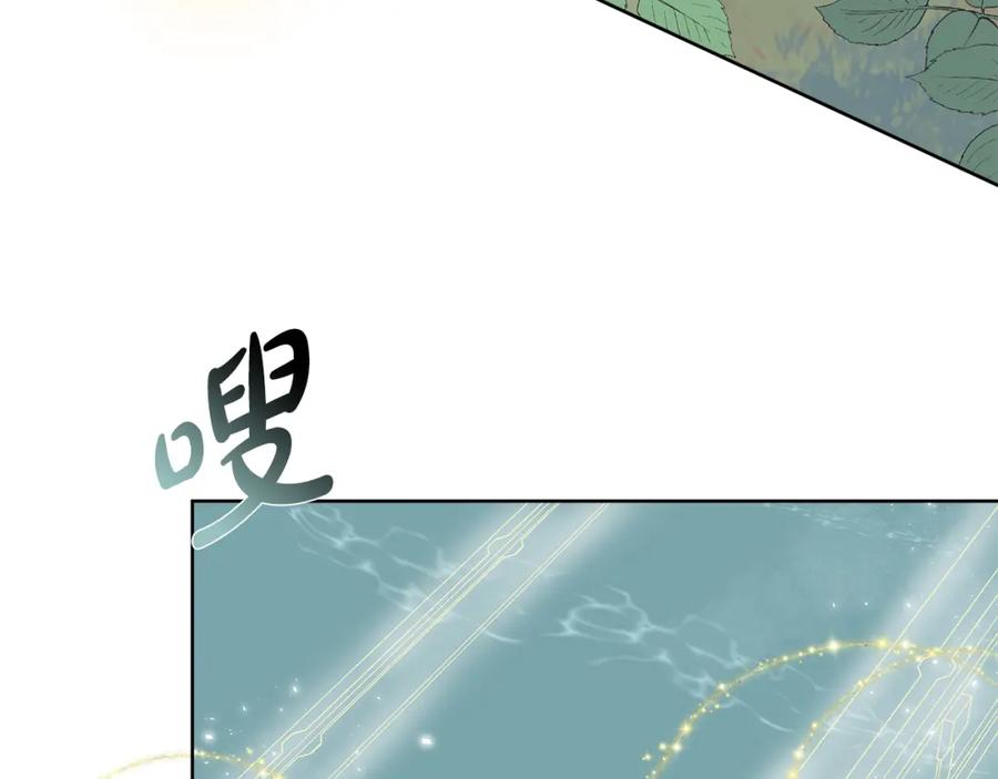 138.jpg