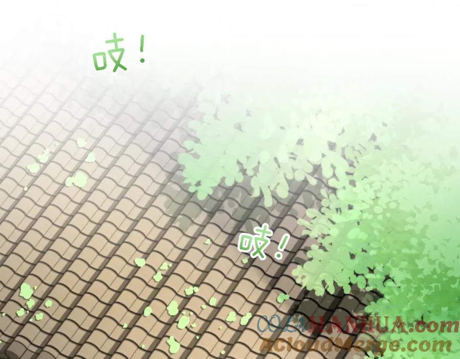 73.jpg