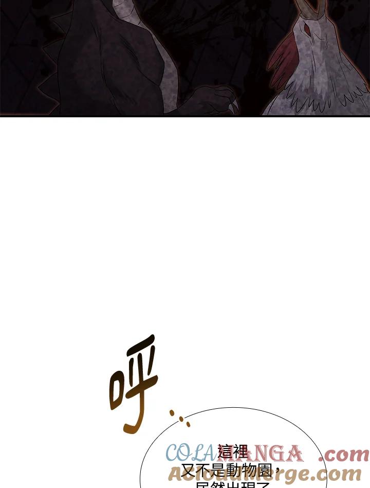 77.jpg