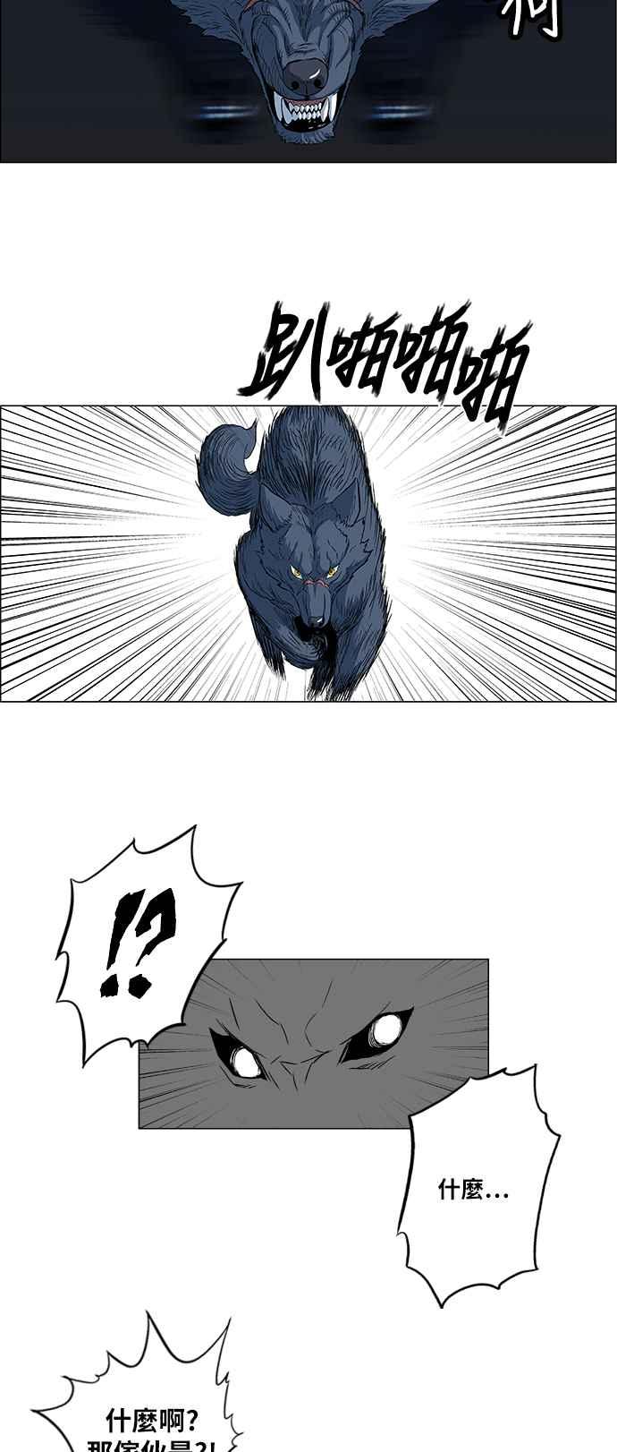 12.jpg