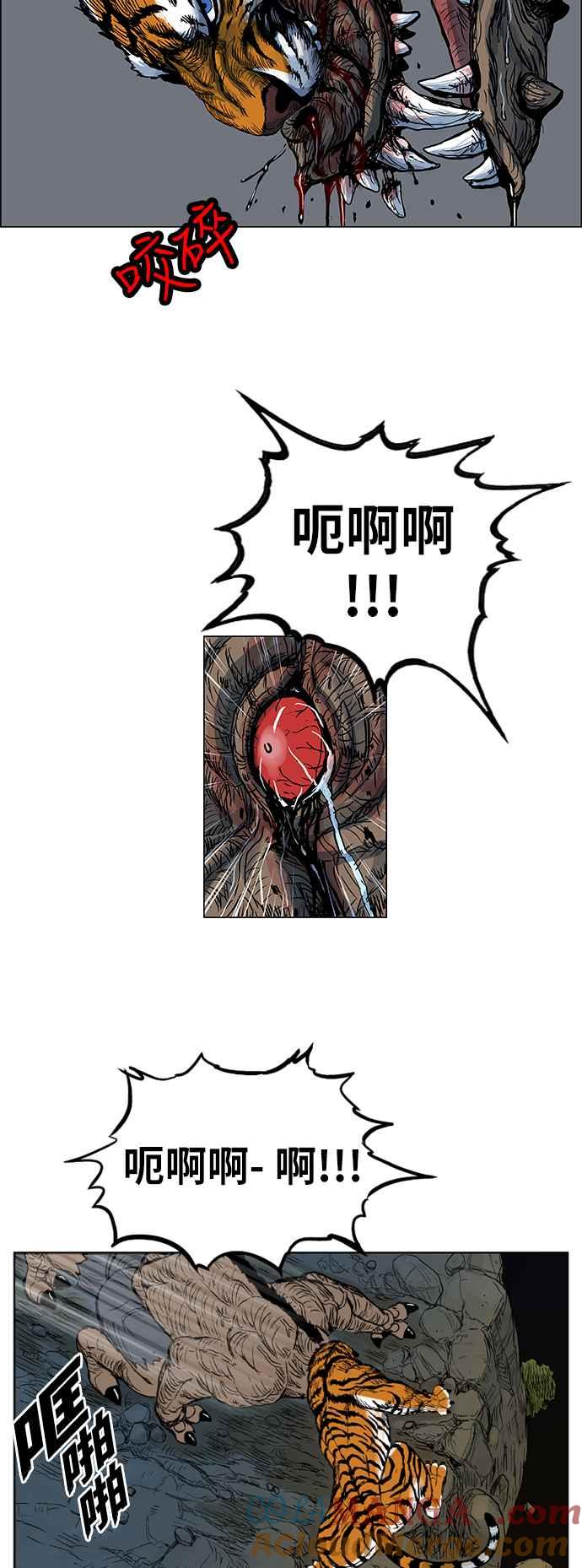 15.jpg