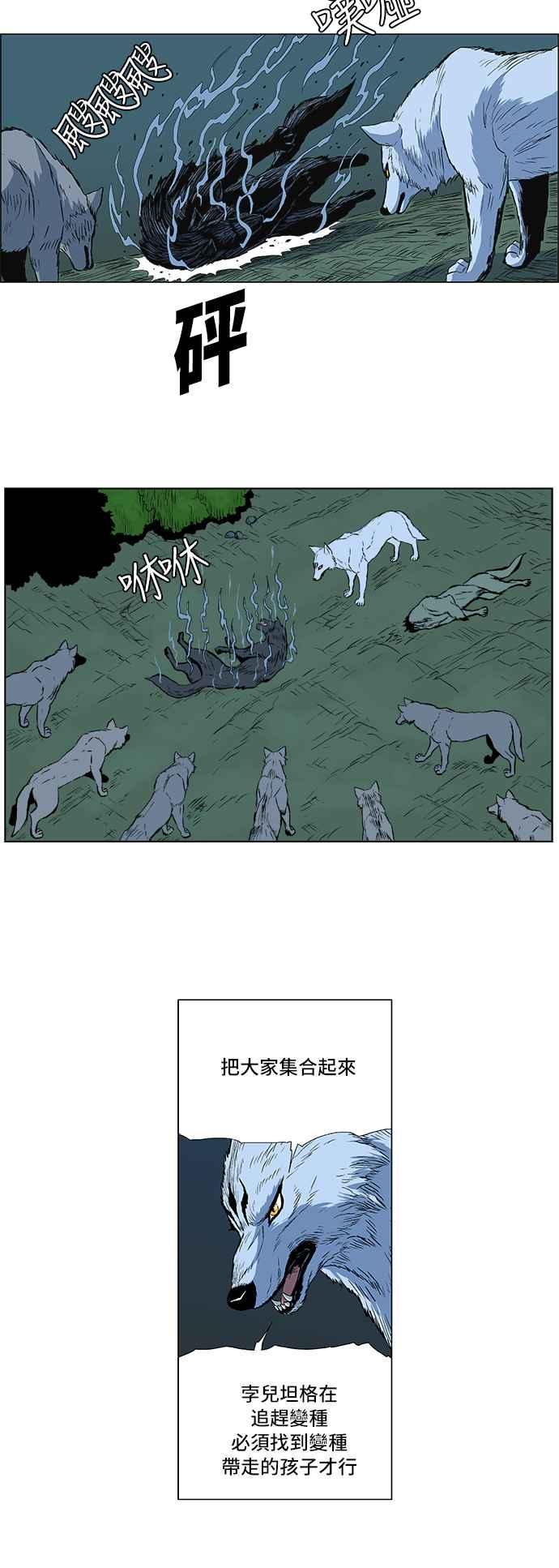 14.jpg
