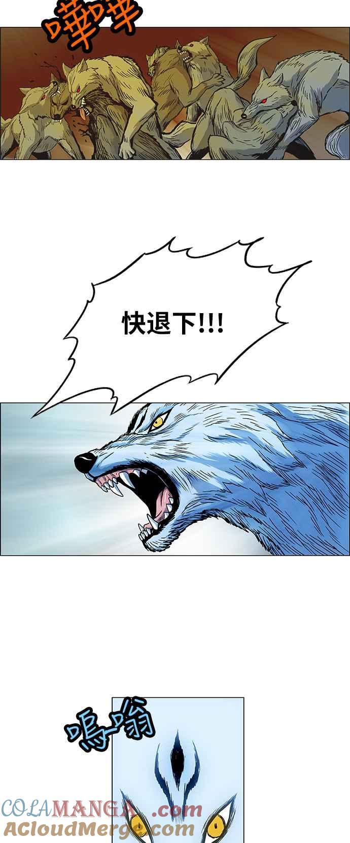 13.jpg