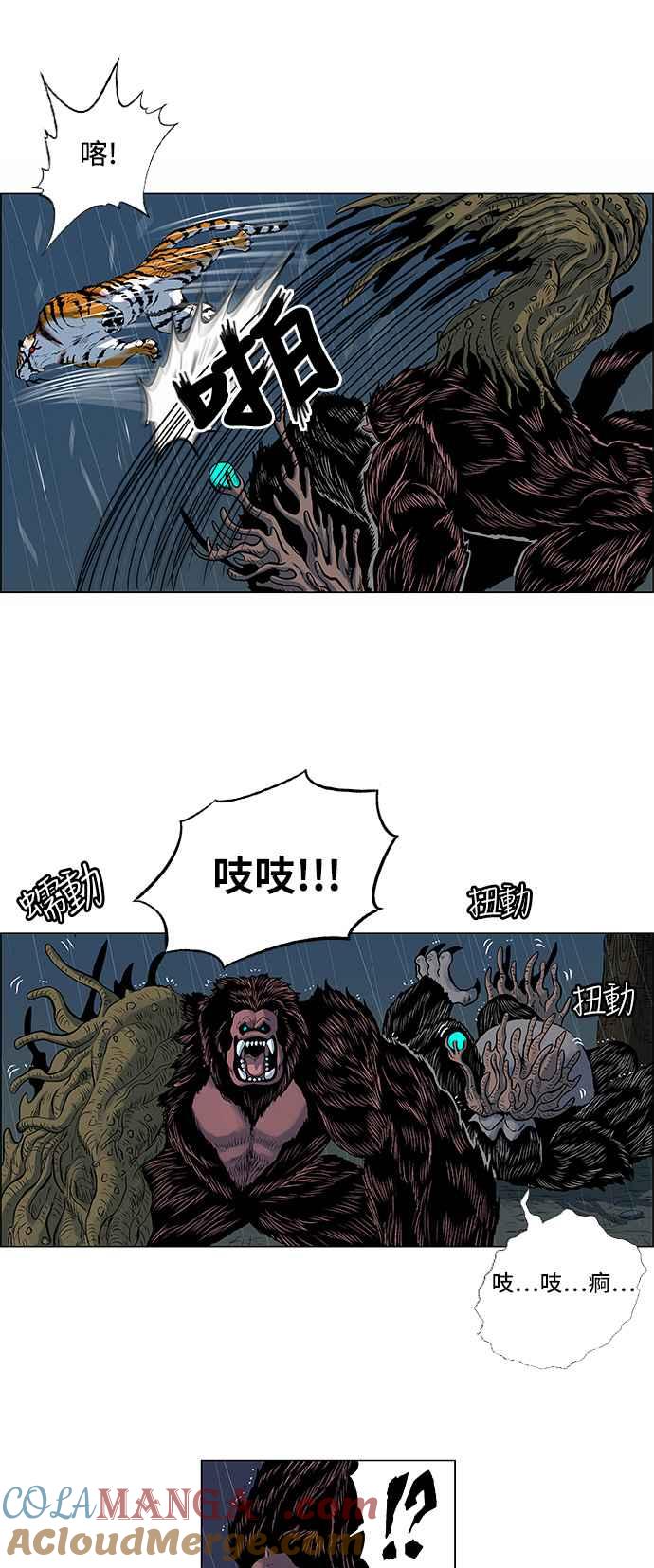 11.jpg